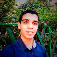يوسف شعبان-Freelancer in Bani Salamah,Egypt