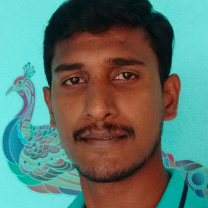 Karthik D-Freelancer in Coimbatore,India