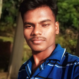 Trilochan Naik-Freelancer in ,India