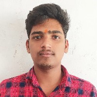 Raghunath Burugula-Freelancer in Adilabad,India