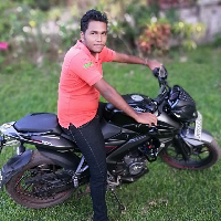 Lion Nation-Freelancer in ,Sri Lanka