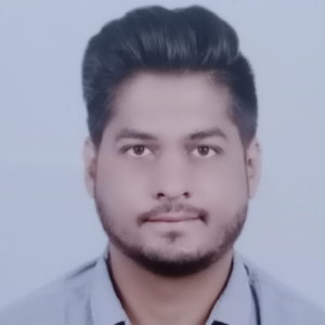 Vaibhav Diwan-Freelancer in Raipur,India