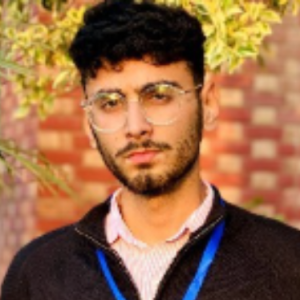 Muhammad abdullah dar-Freelancer in MIRPUR AJK,Pakistan