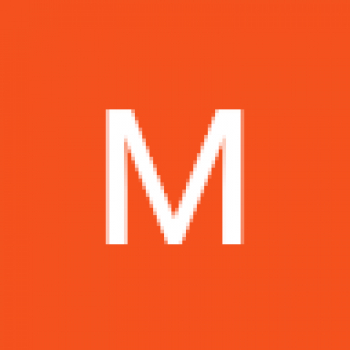 Mobina Moeinzadeh-Freelancer in ,India