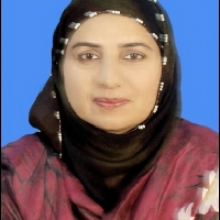 Asifa Siddique-Freelancer in Bahāwalnagar,Pakistan
