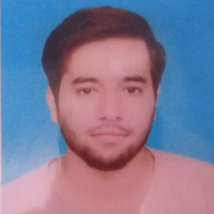 Muhammad Hussnain-Freelancer in Lahore,Pakistan