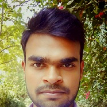 Raj Singh-Freelancer in Kanpur,India