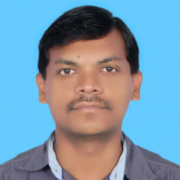Raju T-Freelancer in ,India