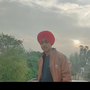 Amitoz Singh-Freelancer in Ludhiana,India