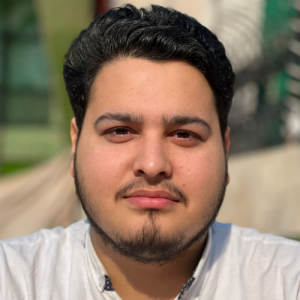 Tayyab Ali-Freelancer in Lahore,Pakistan