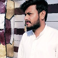 Ali Raza-Freelancer in Sillanwali,Pakistan