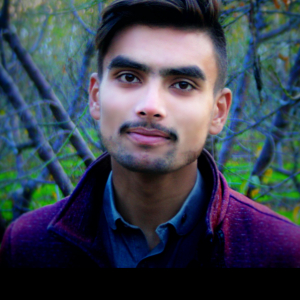 Mohammad Tauseeq-Freelancer in Islamabad,Pakistan