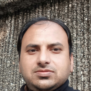 Rajneesh Kaul-Freelancer in ,India