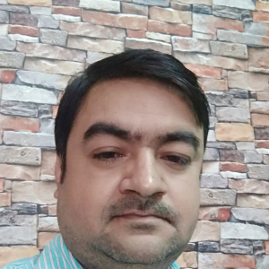 Satya Rao Siddhartha-Freelancer in Kanpur,India