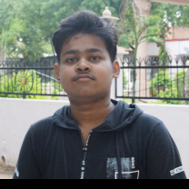 Nitin Raikwar-Freelancer in India,India