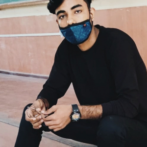 Ankit Kumar-Freelancer in ,India