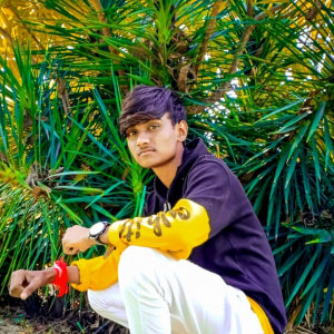 Vishal Makwana-Freelancer in Mehsana,India