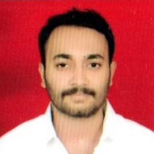 Sachin Kumar Shendre-Freelancer in Bengaluru,India