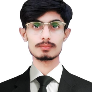 Zain Ali Channa-Freelancer in Karachi,Pakistan