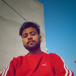 Jayesh Pal-Freelancer in Ambala,India