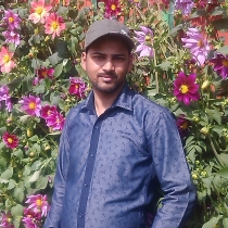 Anil Kumar-Freelancer in Delhi,India