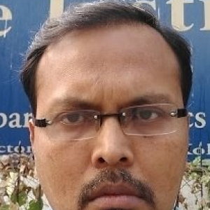 Chanchal Mandal-Freelancer in Chandannagar,India
