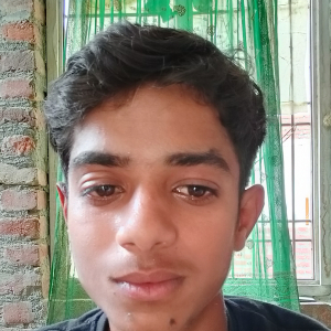 Anuj Yadav-Freelancer in Etah,India