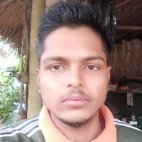 Sanjib Deb-Freelancer in Naharkatia,India