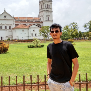 Fenil Gandhi-Freelancer in Navsari,India