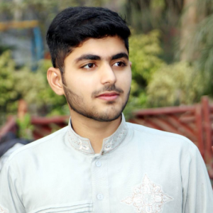 Muhammad Ameer Haroon-Freelancer in Lahore,Pakistan
