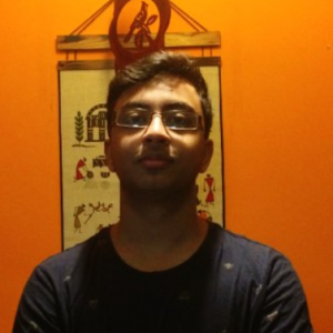 Shamik Mitra Majumdar-Freelancer in Bangalore,India