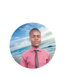 Idris Ahmad-Freelancer in Zaria,Nigeria
