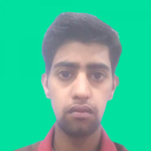 Mohd Suhail Udin-Freelancer in BHAGALPUR,India