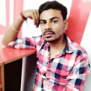 Ramesh Kumar-Freelancer in Patna,India