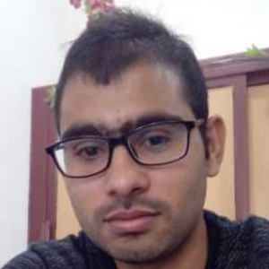 Nitesh Patel-Freelancer in Neemuch,India