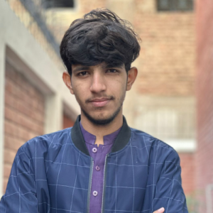Mohsin Raza-Freelancer in Sukkur,Pakistan