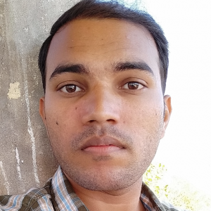 Rahul Raut-Freelancer in Delhi,India