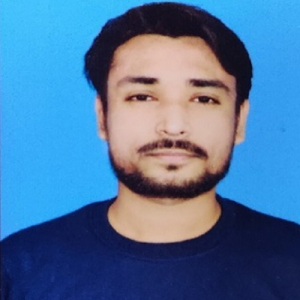 FIDA HUSSAIN-Freelancer in khurja,India