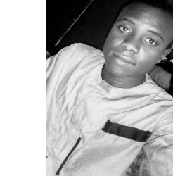 Issa Maikolanche-Freelancer in Niamey,Niger