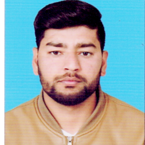 Muhammad Amin Khokhar-Freelancer in Jhelum,Pakistan
