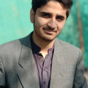 Hasnain Abbas Lashari-Freelancer in Sukkur,Pakistan