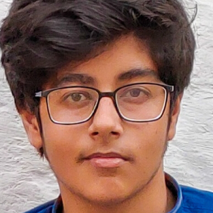 Naman Malik-Freelancer in Noida,India