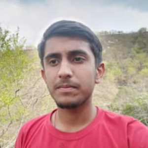 Naman Joshi-Freelancer in Una, Himachal Pradesh,India