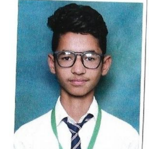 NAVDEEP  SINGH-Freelancer in BHIKHI,India