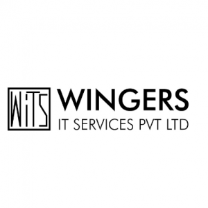 Wingers IT Services (WIST)-Freelancer in Ankleshwar,India