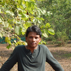 Alok Pradhan-Freelancer in Bhubaneshwar,India