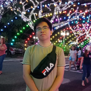 Timothy Christian Tan-Freelancer in Pasig City,Philippines