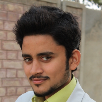 Hamza Ali-Freelancer in layyah,Pakistan