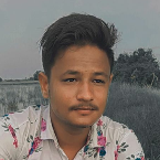Mansuri Yunush-Freelancer in Patan,India