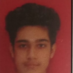 Harshit Kaila-Freelancer in New Delhi,India